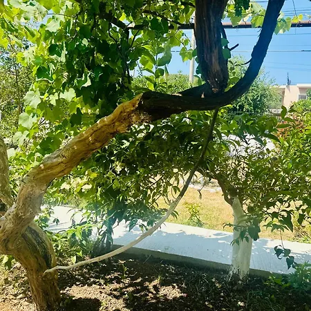 Simadhes Garden Appartement *