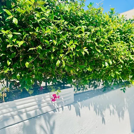 Simadhes Garden Himarë