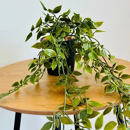 Appartement Simadhes Garden *