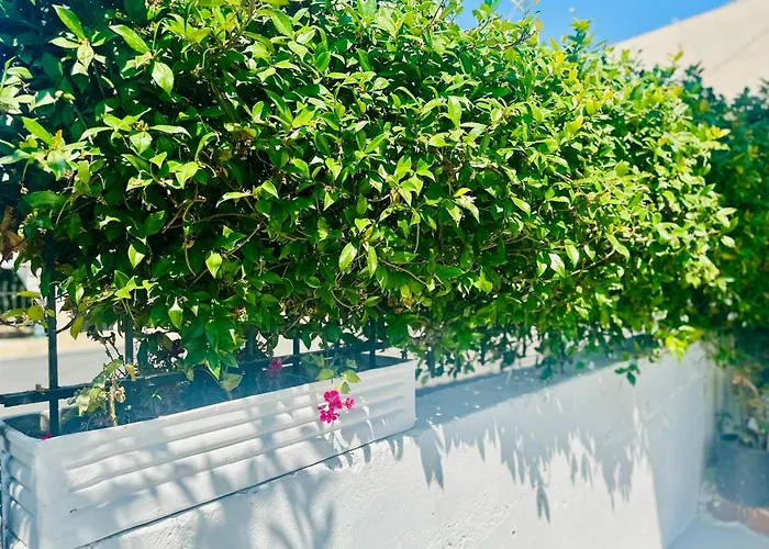 Simadhes Garden Himarë
