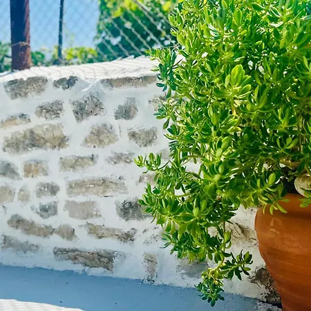 Simadhes Garden Appartamento *