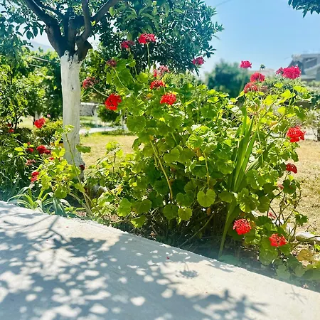 Simadhes Garden *