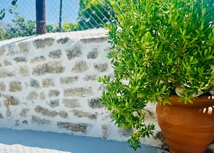 Simadhes Garden דירה *