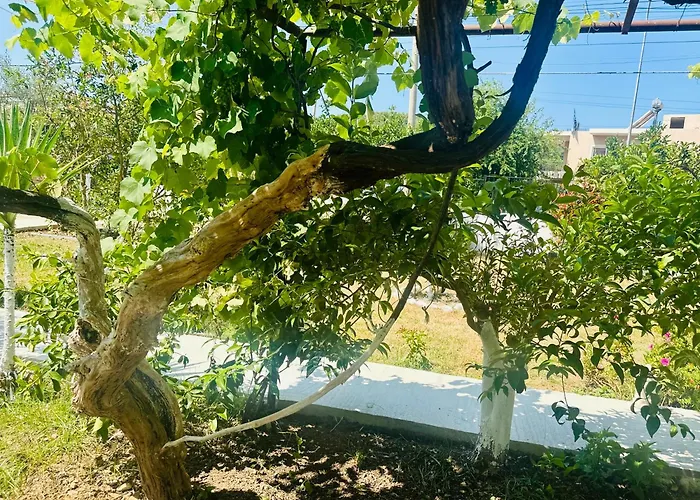 Simadhes Garden דירה *