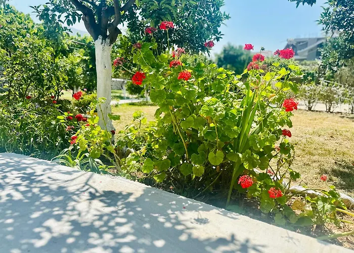 Simadhes Garden *