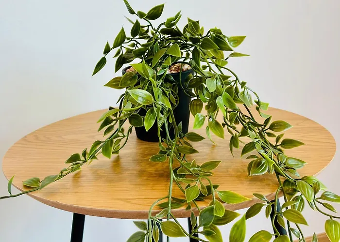 דירה Simadhes Garden *